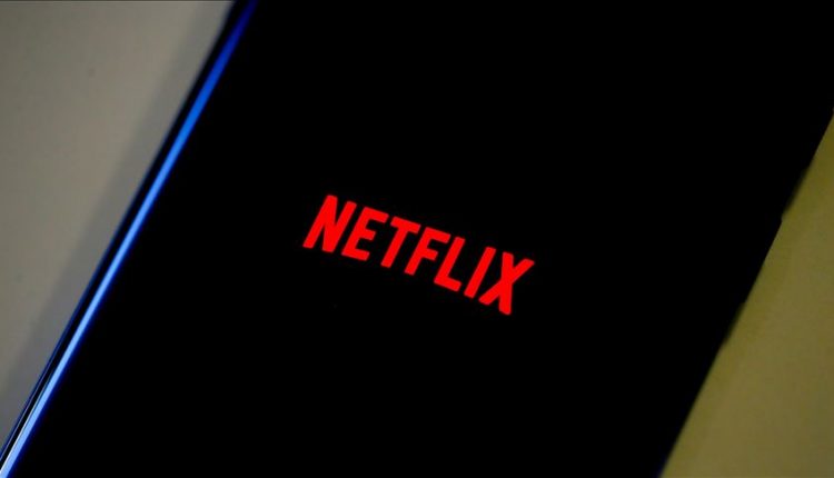 netflix ayı